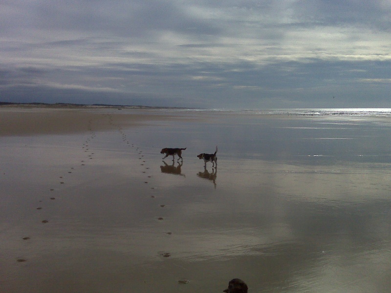 A la plage